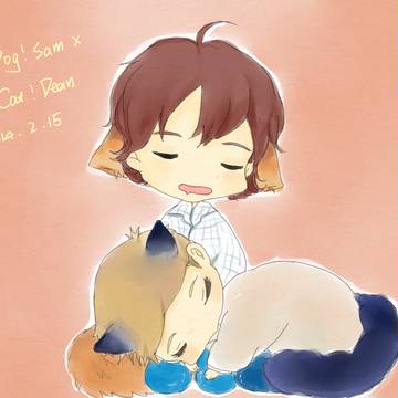 SD dog ＆cat