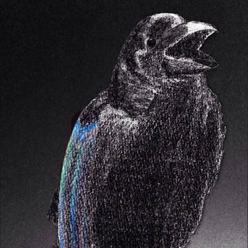 ＲＡＶＥＮ's FOREST