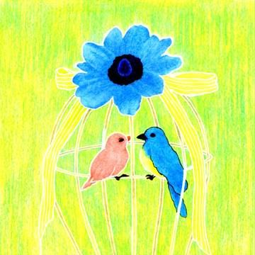 Blue Anemone