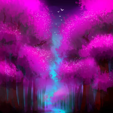 Enchanted Forest