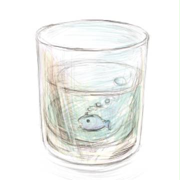 氷砂糖の魚