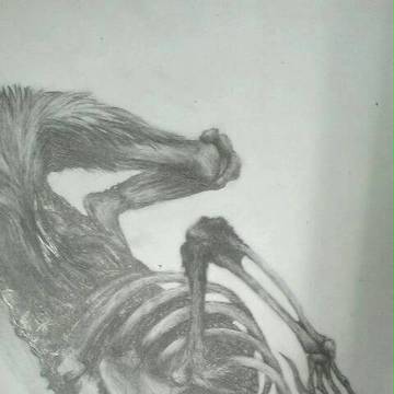 奇形のドラゴンの死体