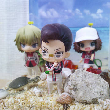 美ら海が恋しい(庭球グランデ)