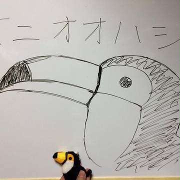 オニオオハシ！！