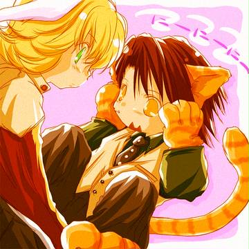 にゃんこのひ