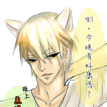 猫の日