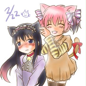 猫の日の