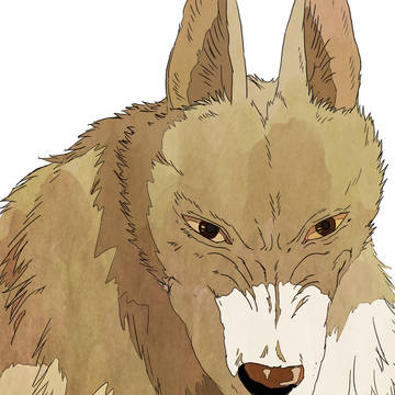 オオカミ