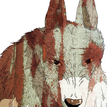傷ついた狼