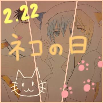 【黒バス】ネコの日