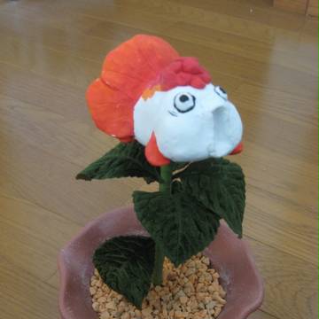 金魚草