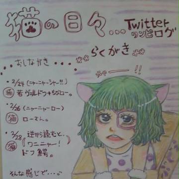 猫の日々。