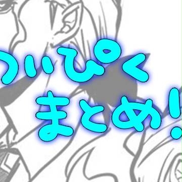 ついぴくまとめ