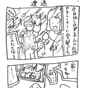 カロスにあの人がやって来た