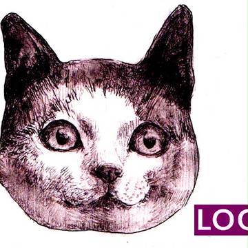 log