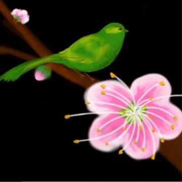 鳥與梅