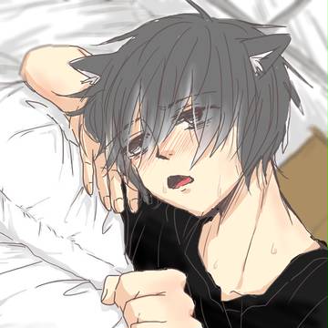 発情ネコシン