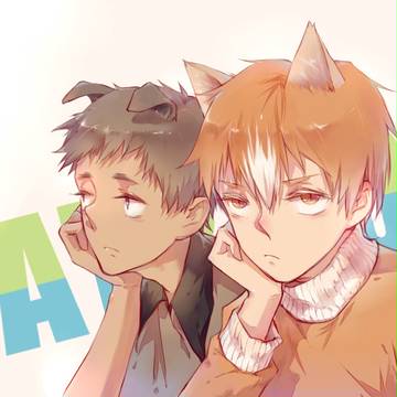 cat&dog