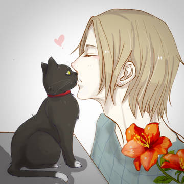 猫与少年