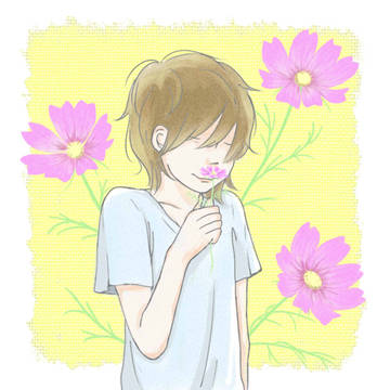 コスモス