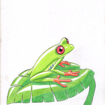 Green Frog