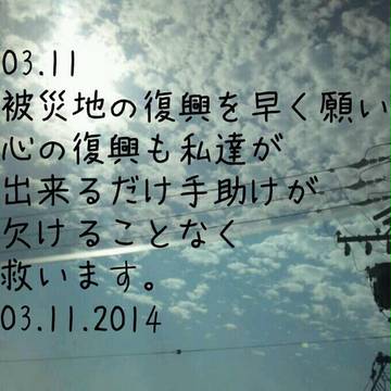 3.11 2014