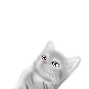 猫