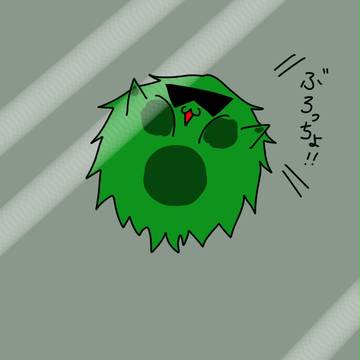 ぶろっちょ！！