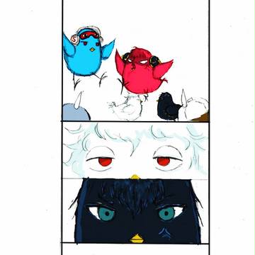 银土 GH birds （3）