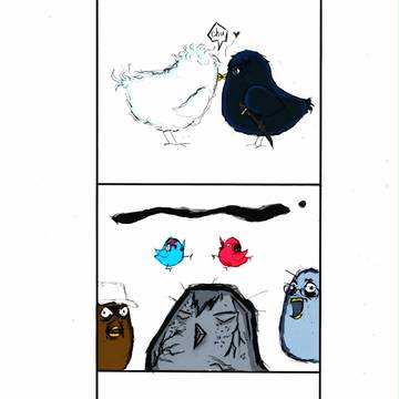 银土 GH birds （4）