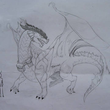 DND48人设  红龙特葵拉•獾【Ⅰ 】