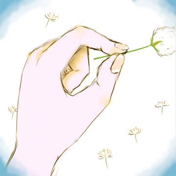 綿毛