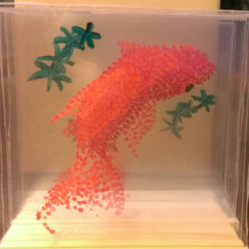 水槽の中の金魚