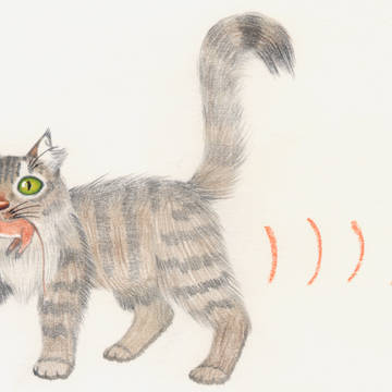 ネズミ獲ったどー