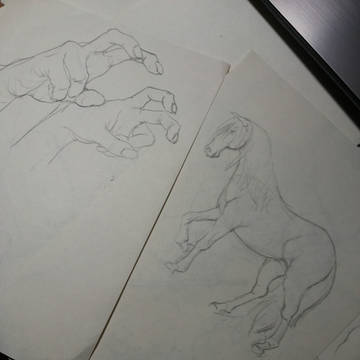 sketch