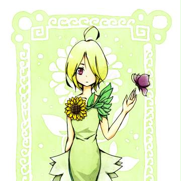 葵花