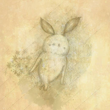 ウサギ