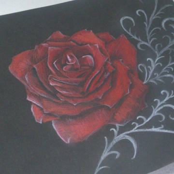薔薇