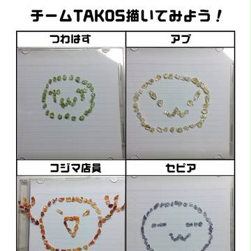 ちーむたこす