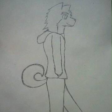 練習