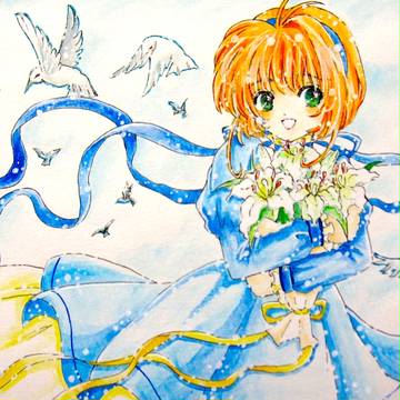 色彩修正（デジカメ撮影ver