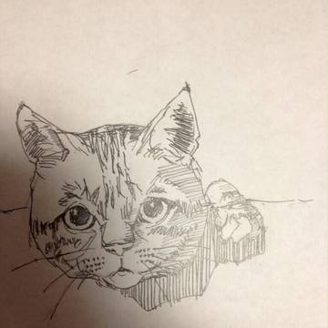 らくがき
