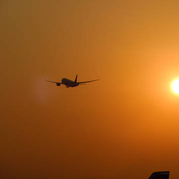 夕焼けの空に飛んでいくB787