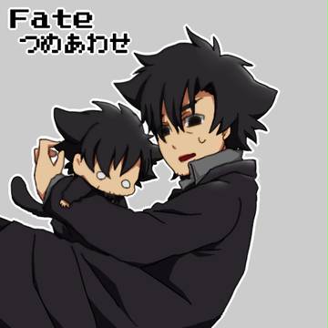Fate/にゃんこ詰②