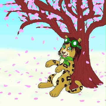 雪とさくら- snow and cherry blossom　