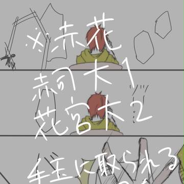 【赤花赤】反対言葉だけが嘘ではない