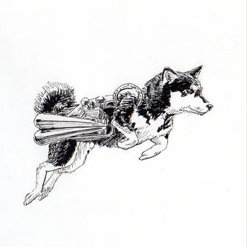 マフラーを付けた柴犬