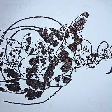 切り絵「パンドゥーラの匣」