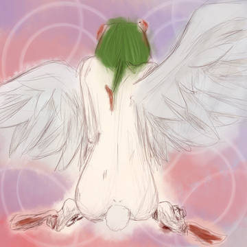 羽兎