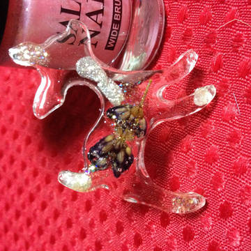 春バンビ